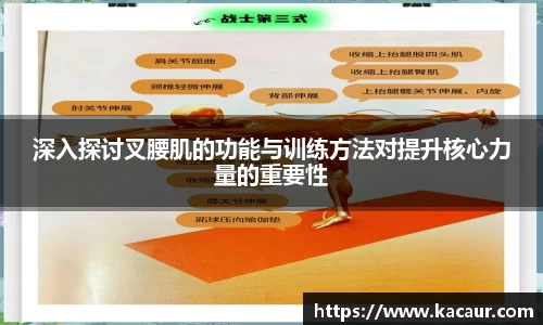 深入探讨叉腰肌的功能与训练方法对提升核心力量的重要性
