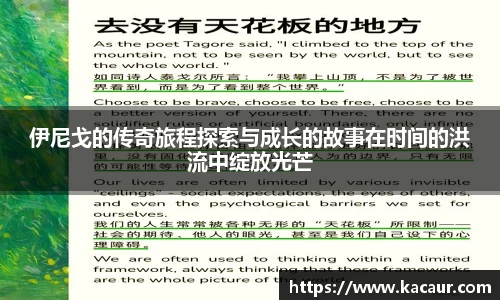 伊尼戈的传奇旅程探索与成长的故事在时间的洪流中绽放光芒